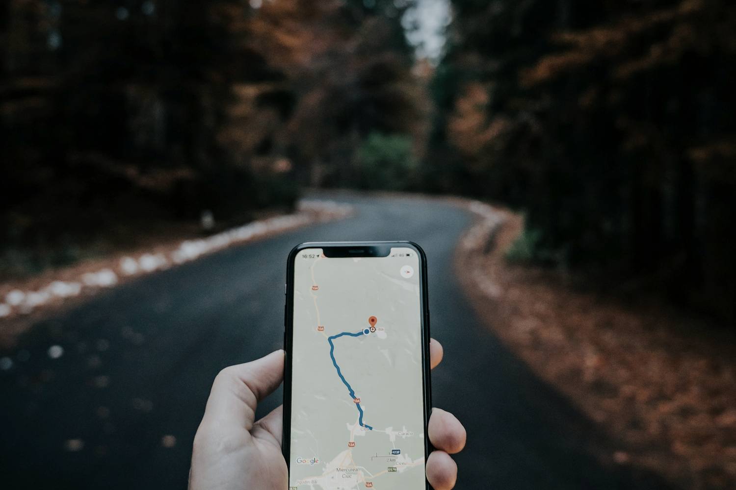 dłoń trzymająca telefon z mapą i wynikami lokalnymi